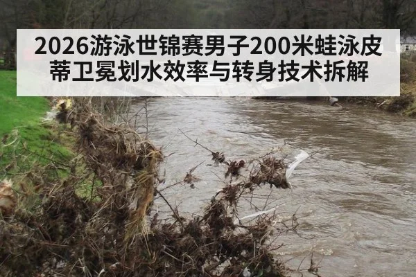 2026游泳世锦赛男子200米蛙泳皮蒂卫冕划水效率与转身技术拆解