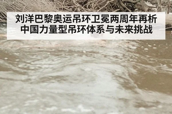 刘洋巴黎奥运吊环卫冕两周年再析中国力量型吊环体系与未来挑战